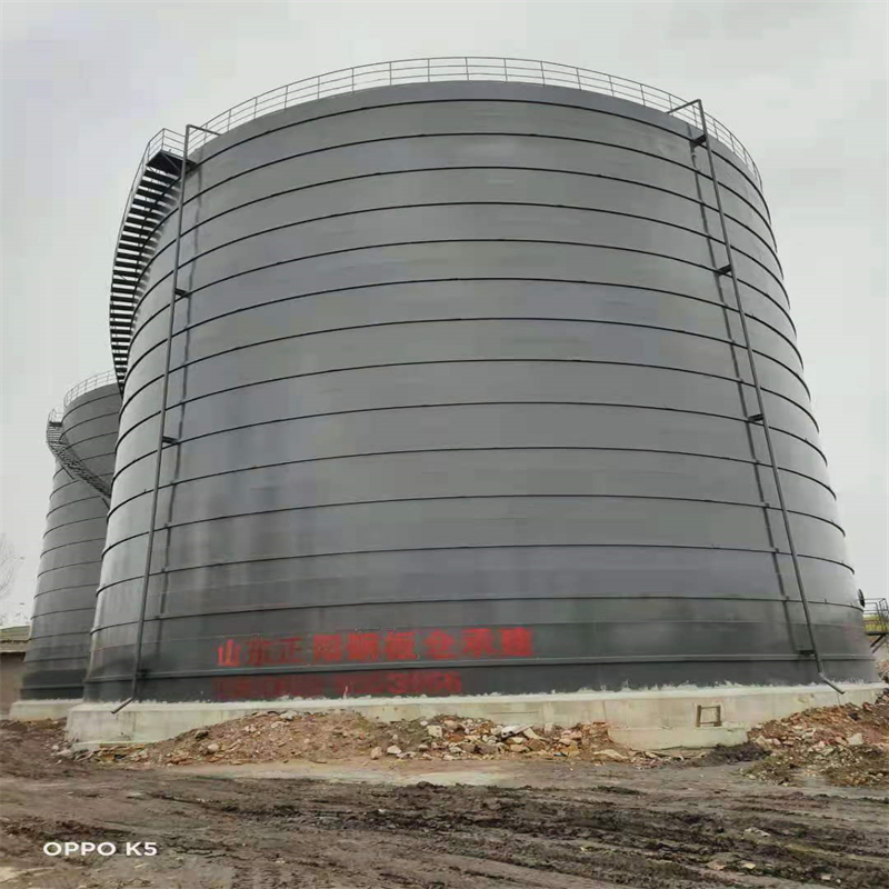 临漳3万吨大型钢板库